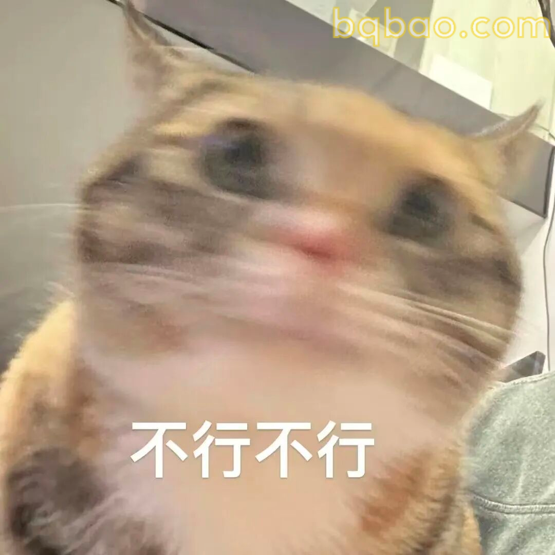 猫咪表情包合集 14