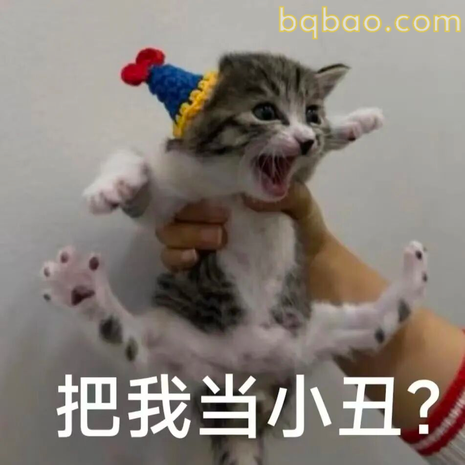 猫咪表情包合集 15