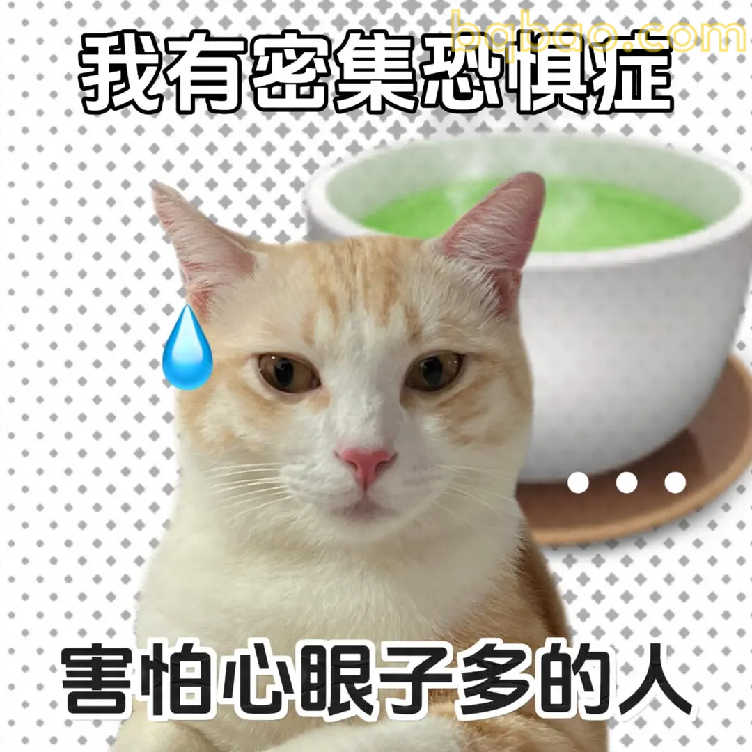 猫咪表情包合集 20
