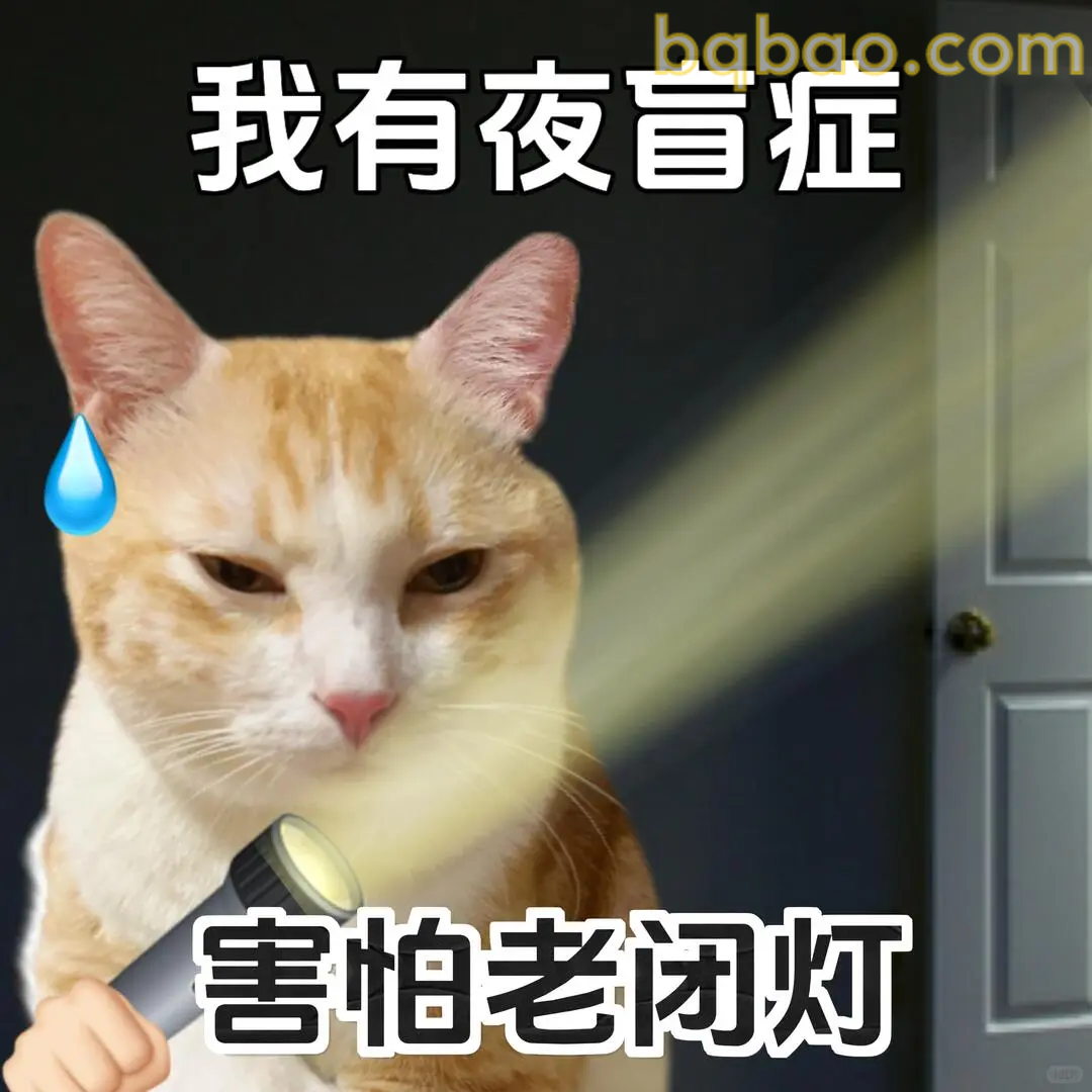 猫咪表情包合集 21