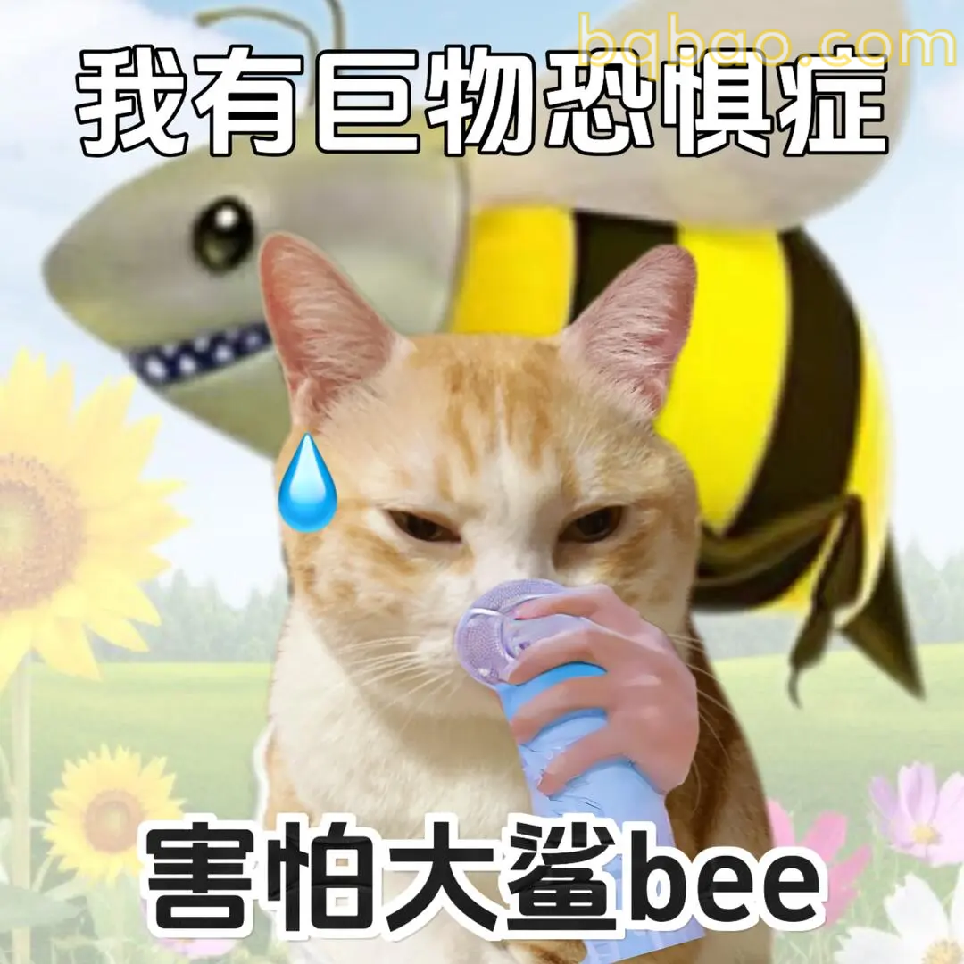 猫咪表情包合集 22