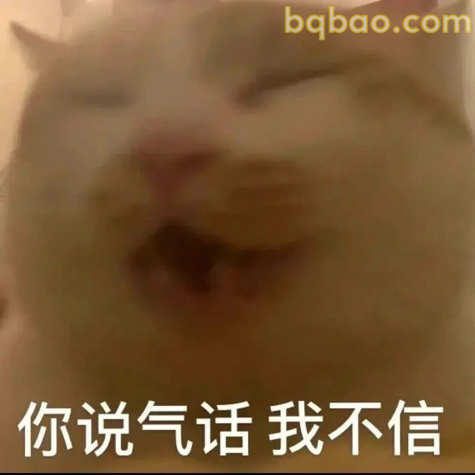 猫咪表情包合集 23