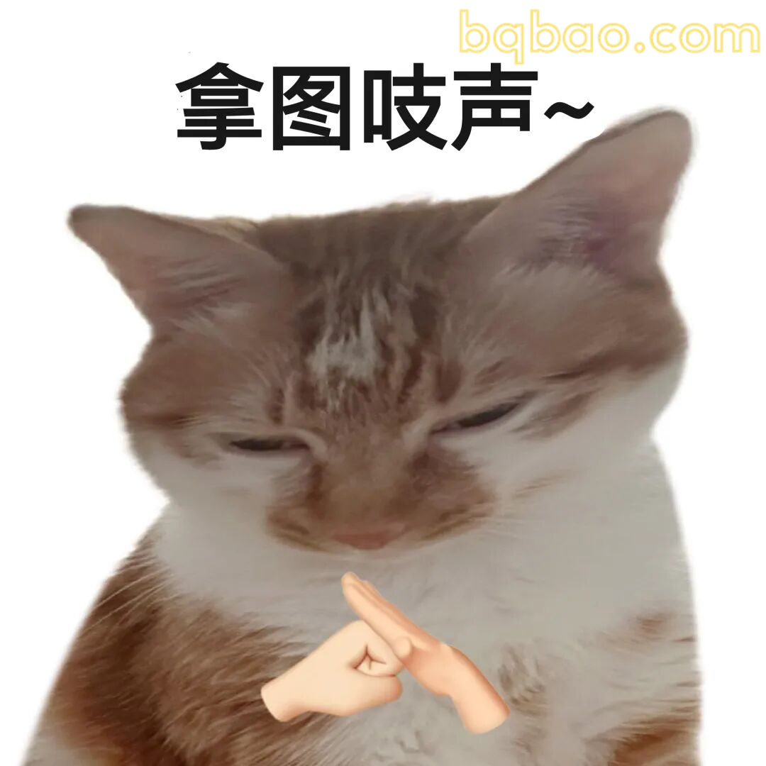 猫咪表情包合集 24