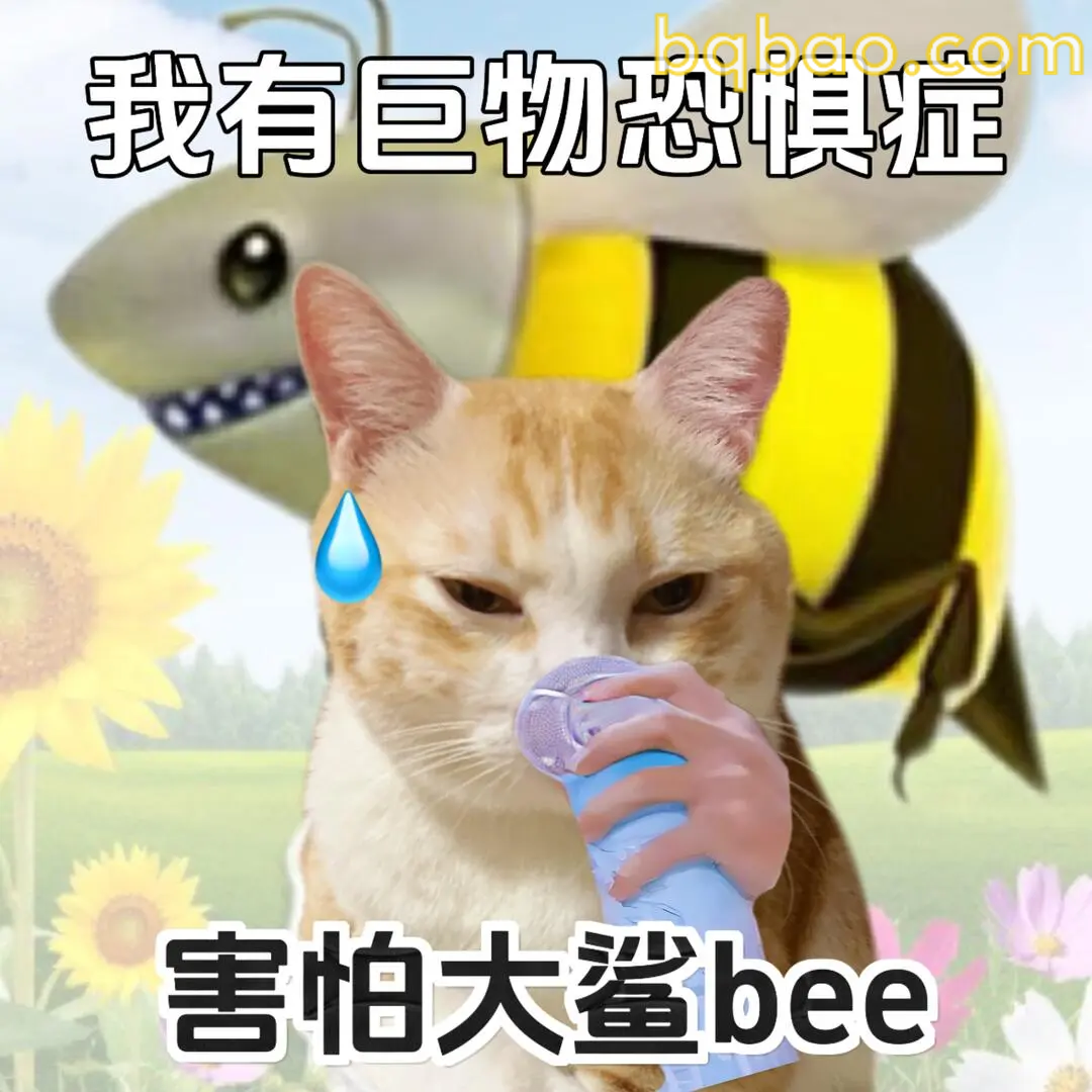 猫咪回眸 · 你在看我？