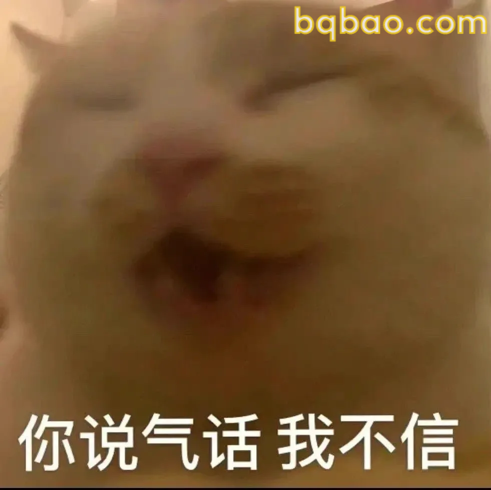 猫咪躲藏 · 暗中观察
