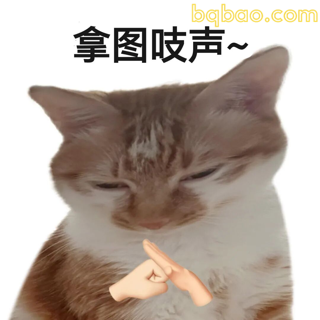 猫咪撒娇 · 摸摸头
