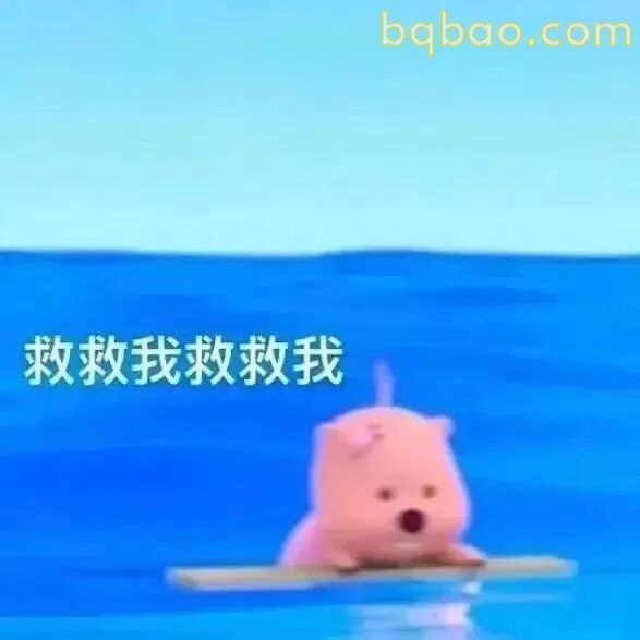 Loopy小海狸表情包合集 24