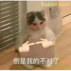 倒是我的不对了 小狗裹浴巾道歉
