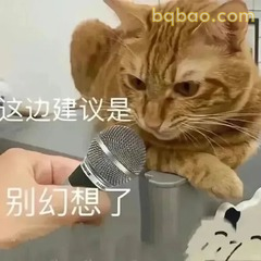 猫建议你别幻想了