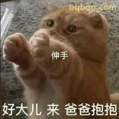 表情包 | 一些很难拒绝的沙雕表情包 #12
