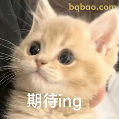 表情包 | 一些很难拒绝的沙雕表情包 #15