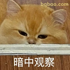 表情包 | 一些很难拒绝的沙雕表情包 #19