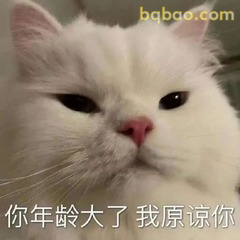 表情包|打工人搞笑发疯表情包~ #02