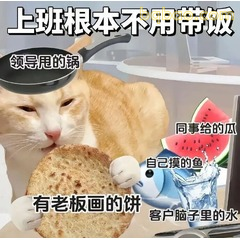 橘猫说上班根本不用带饭