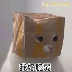 表情包|打工人搞笑发疯表情包~ #04