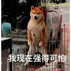 表情包|打工人搞笑发疯表情包~ #06