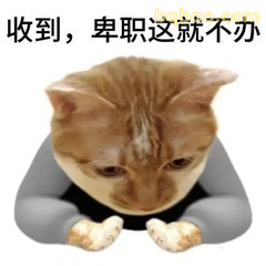 表情包|打工人搞笑发疯表情包~ #13