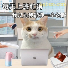 猫咪上班以为能挣一个亿