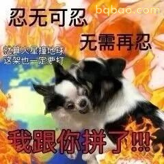 表情包|打工人搞笑发疯表情包~ #23