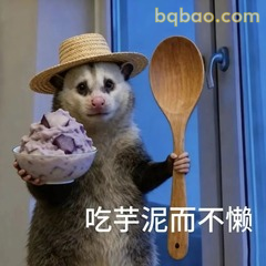表情包 |  负鼠表情包大合集 直接存 #01