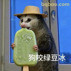狗咬绿豆冰 负鼠举冰棍表情