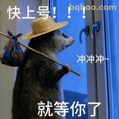 表情包 |  负鼠表情包大合集 直接存 #06