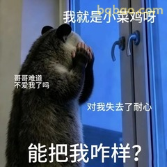 负鼠委屈求安慰表情包