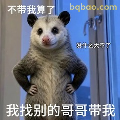 表情包 |  负鼠表情包大合集 直接存 #12