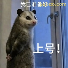 负鼠我已准备好上号