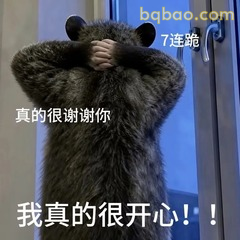 表情包 |  负鼠表情包大合集 直接存 #14