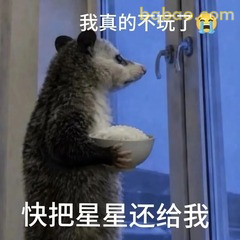 表情包 |  负鼠表情包大合集 直接存 #15