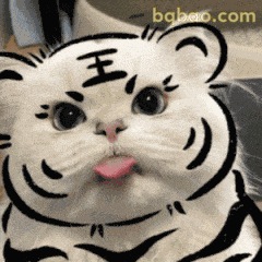 表情包：100个热门表情包大全（可直存） GIF #046
