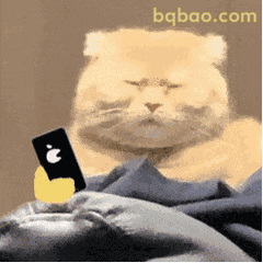 表情包：100个热门表情包大全（可直存） GIF #048