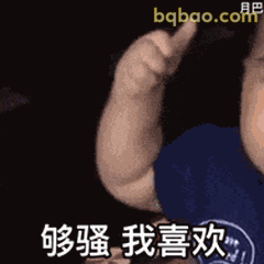 表情包：100个热门表情包大全（可直存） GIF #052