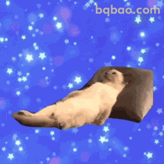 表情包：100个热门表情包大全（可直存） GIF #078