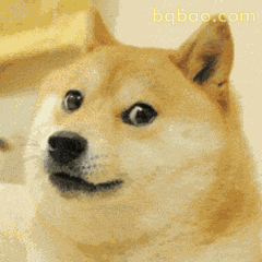 柴犬歪头无辜脸表情包