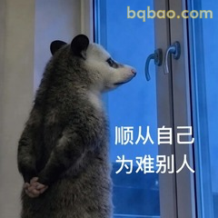 𝙒𝙚𝘾𝙝𝙖𝙩表情包｜超全负鼠表情包合集 #05