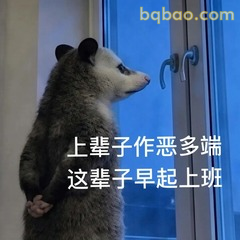 负鼠合掌求求别再加班