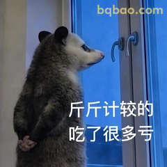 𝙒𝙚𝘾𝙝𝙖𝙩表情包｜超全负鼠表情包合集 #10