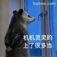 𝙒𝙚𝘾𝙝𝙖𝙩表情包｜超全负鼠表情包合集 #12