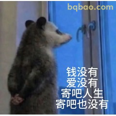 𝙒𝙚𝘾𝙝𝙖𝙩表情包｜超全负鼠表情包合集 #23