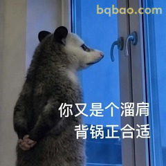 𝙒𝙚𝘾𝙝𝙖𝙩表情包｜超全负鼠表情包合集 #04