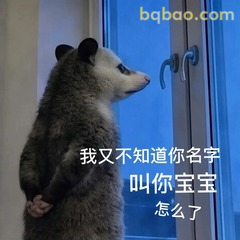 𝙒𝙚𝘾𝙝𝙖𝙩表情包｜超全负鼠表情包合集 #06