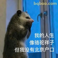 负鼠自嘲没北京户口
