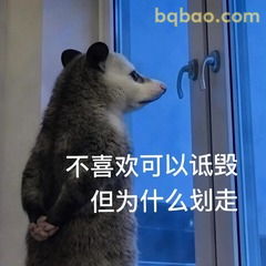 𝙒𝙚𝘾𝙝𝙖𝙩表情包｜超全负鼠表情包合集 #15