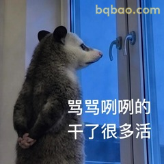 𝙒𝙚𝘾𝙝𝙖𝙩表情包｜超全负鼠表情包合集 #16