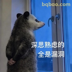 靠窗发呆的负鼠 全是漏洞