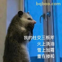 𝙒𝙚𝘾𝙝𝙖𝙩表情包｜超全负鼠表情包合集 #18