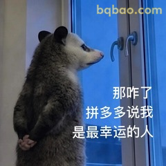 𝙒𝙚𝘾𝙝𝙖𝙩表情包｜超全负鼠表情包合集 #21