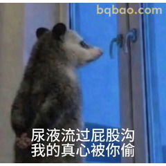 𝙒𝙚𝘾𝙝𝙖𝙩表情包｜超全负鼠表情包合集 #22